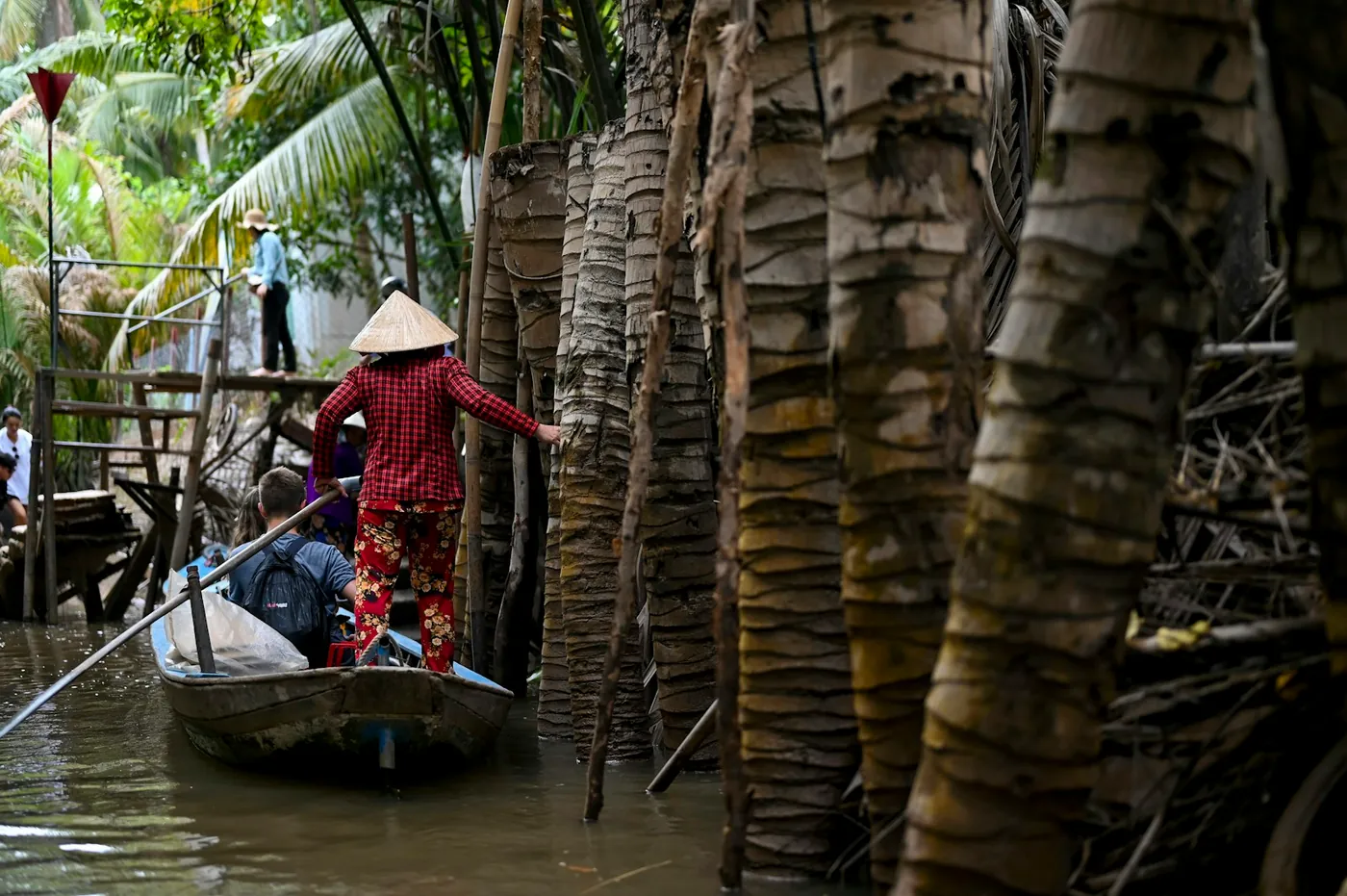 Green rice paddies stretching across the flat farmland of the Mekong Delta, Vietnam