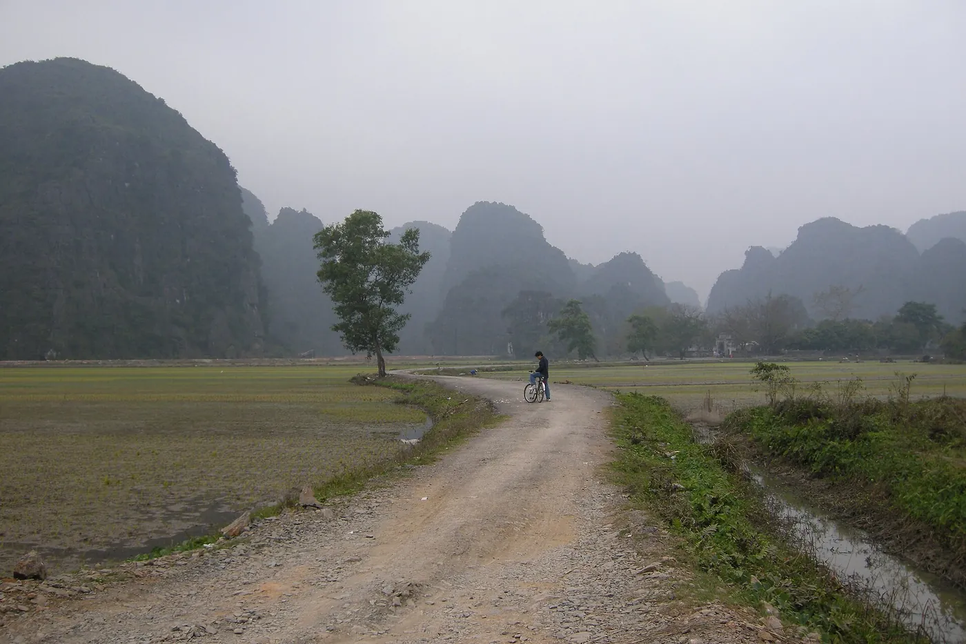 The Tam Coc river winding between rice fields and karst peaks in Ninh Binh, Vietnam