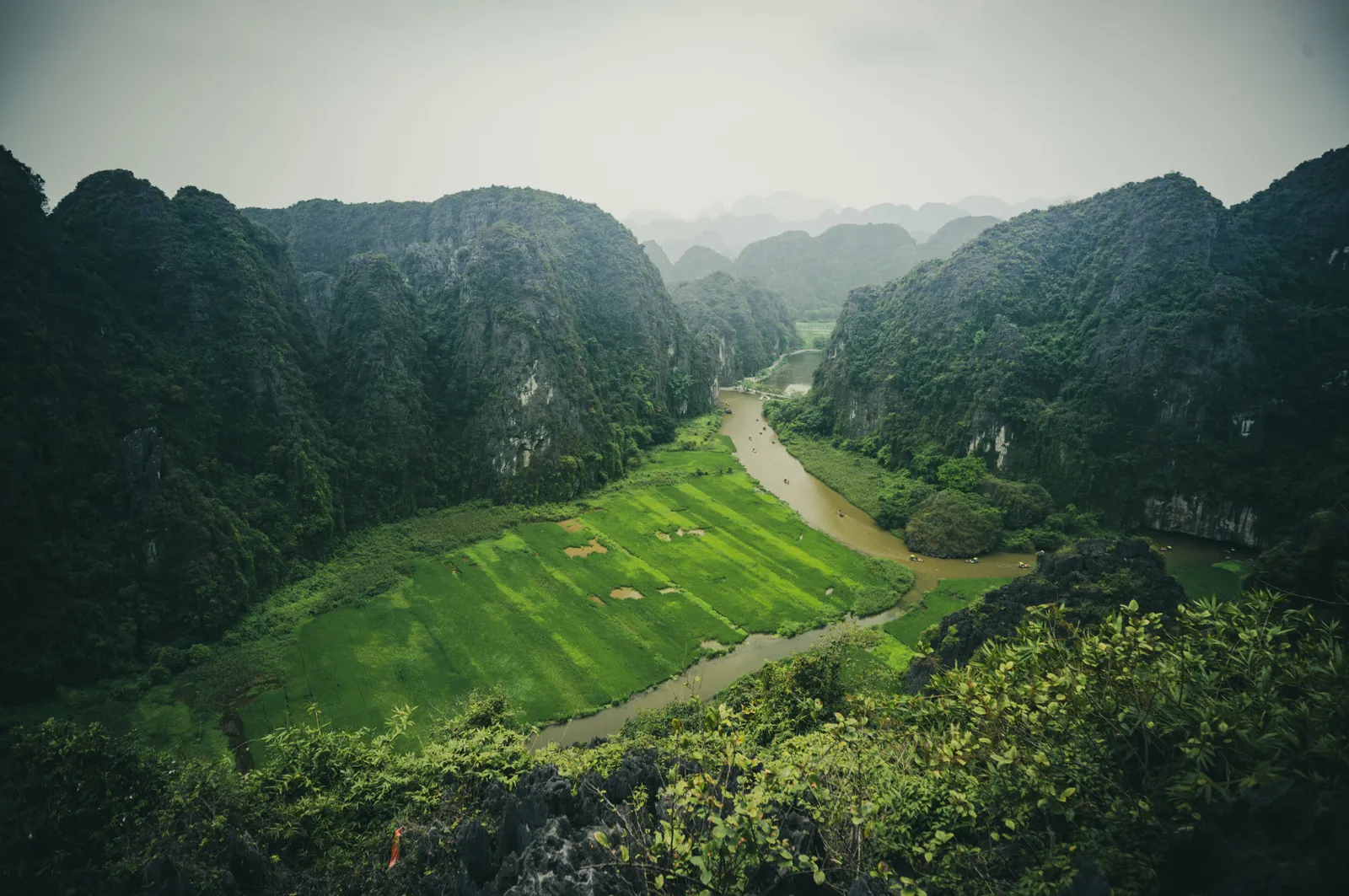 Karst limestone peaks rising above green rice paddies along the river route at Tam Coc, Ninh Binh, Vietnam