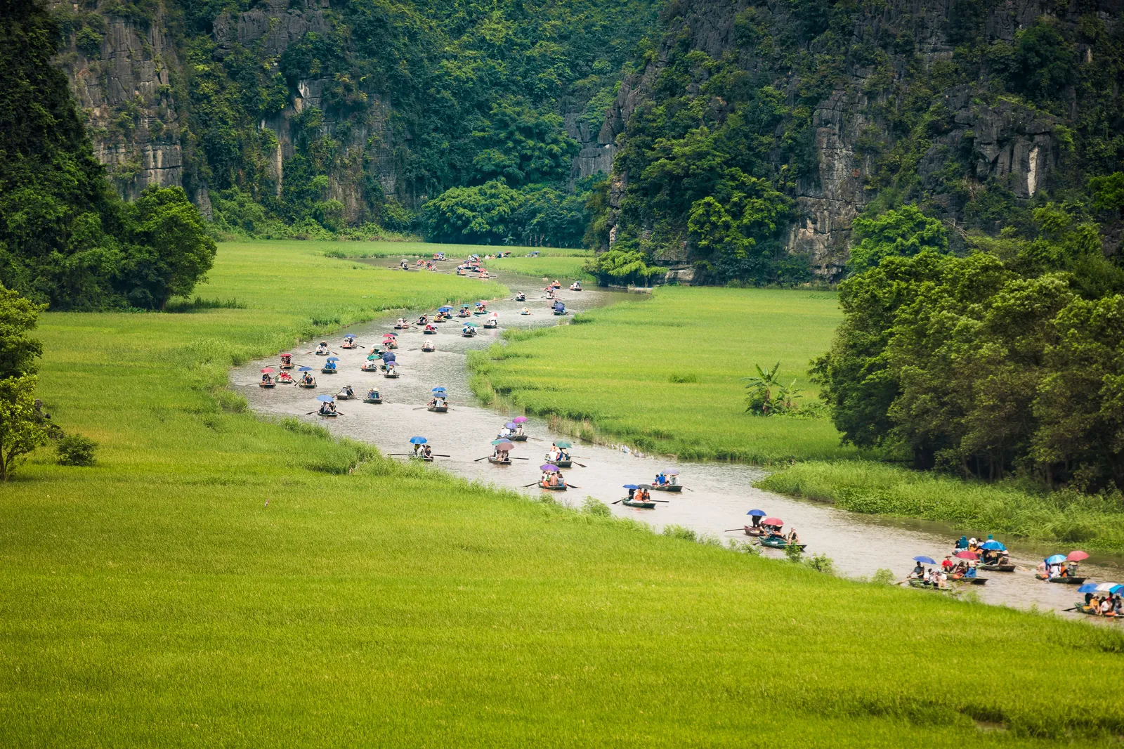 Rowing boats passing between limestone karsts and rice paddies on the river at Tam Coc, Ninh Binh, in daylight