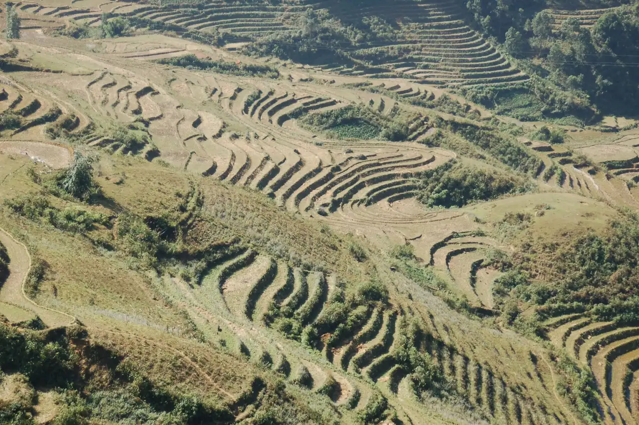 Terraced rice fields on the hillsides around Sapa in northern Vietnam