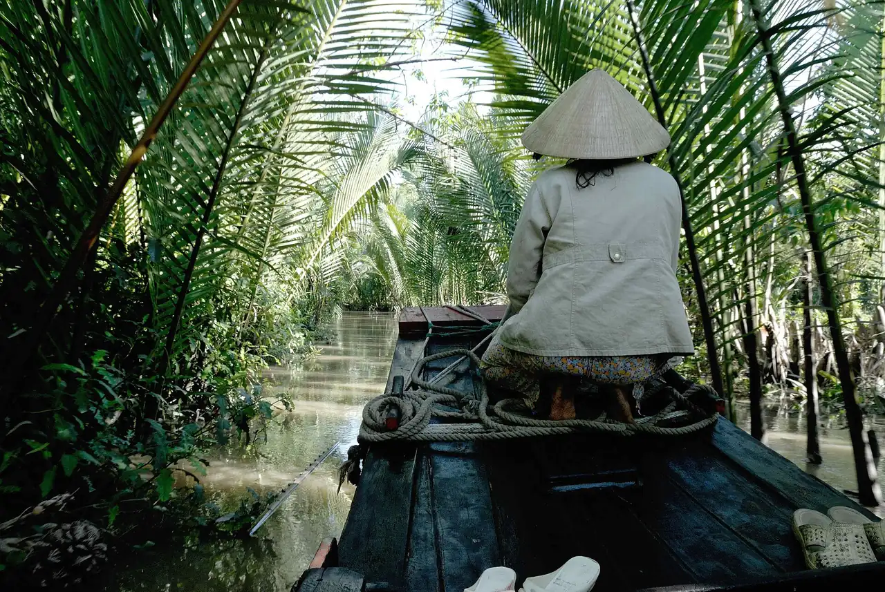 A palm-lined waterway in the Mekong Delta of southern Vietnam