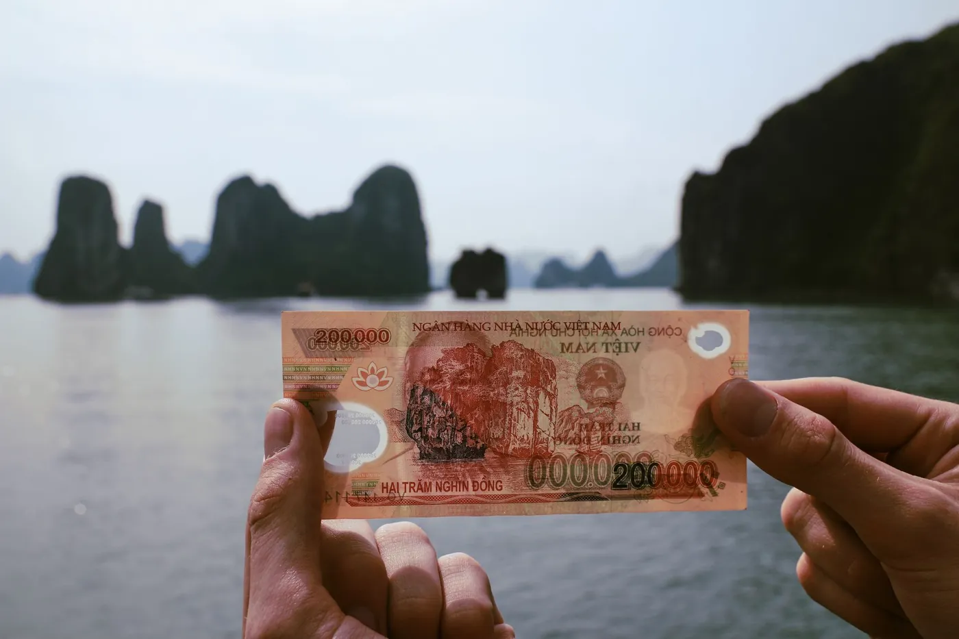 Vietnamese dong banknotes of similar colours, easily confused when counting change