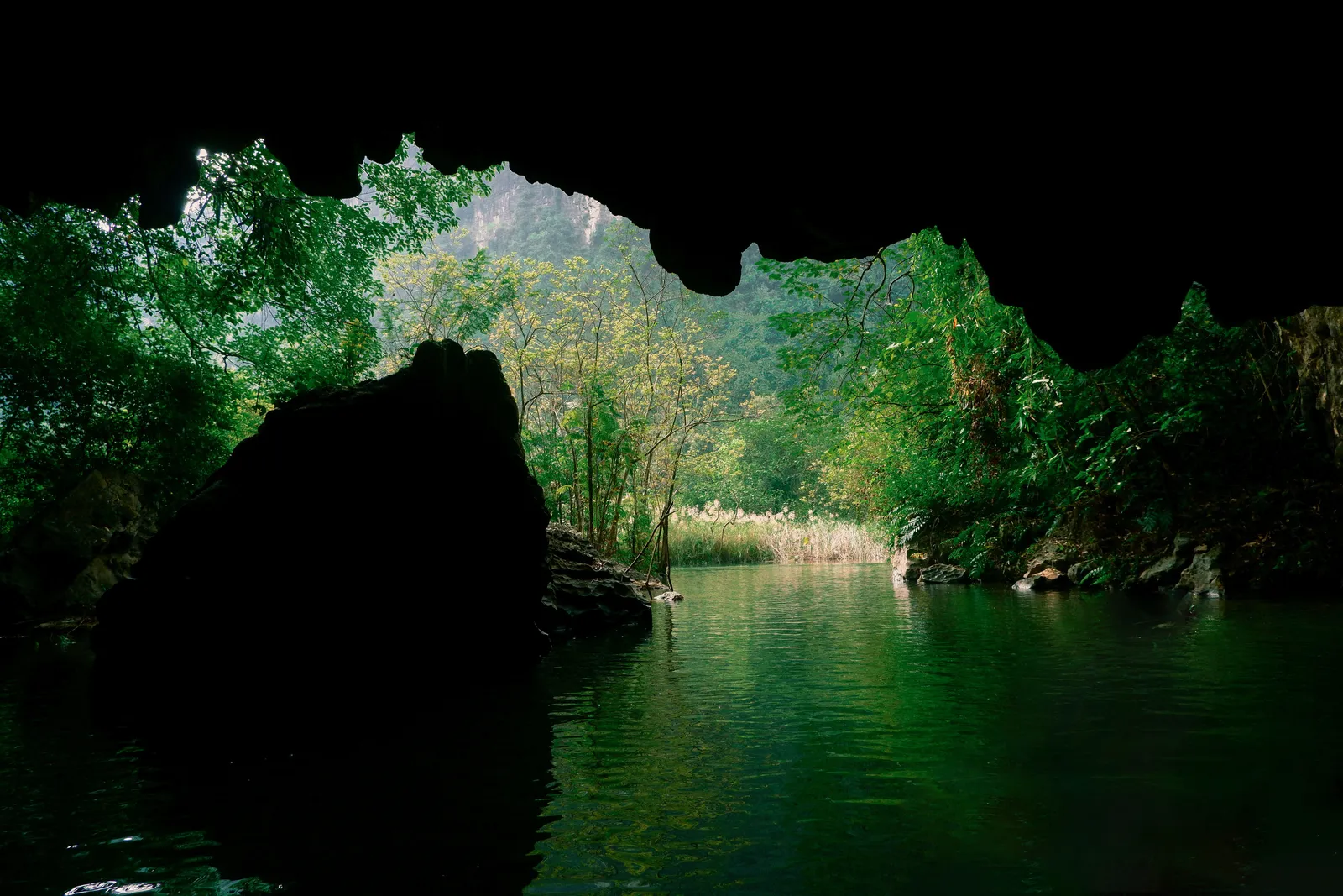 Tourists on a boat entering the mouth of Phong Nha Cave beneath a limestone karst cliff in central Vietnam