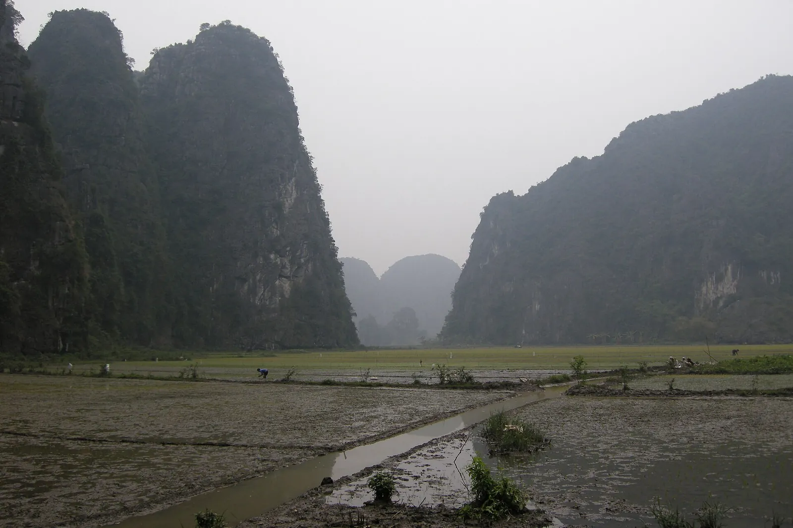 Limestone karsts rising above a river in Ninh Binh, northern Vietnam