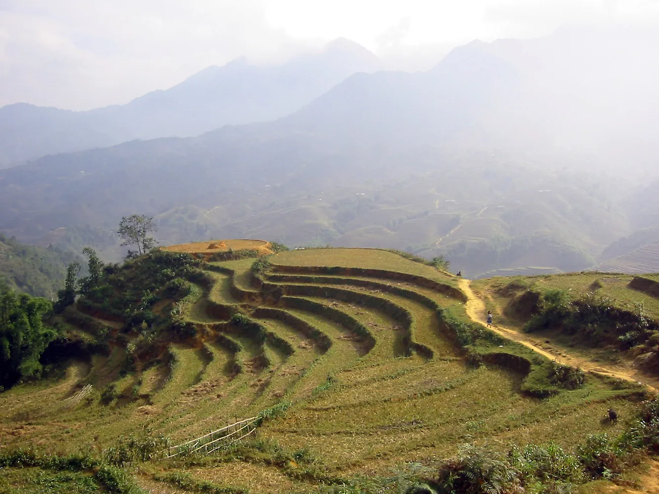 A motorbike rider on a mountain road in northern Vietnam, where insurance exclusions matter most