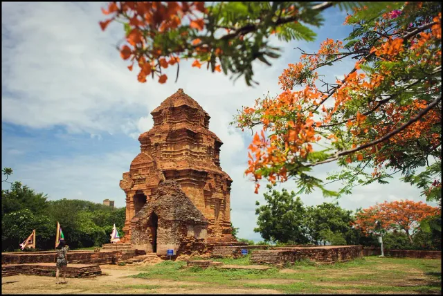 Red brick Cham towers on a hill with an orange flowering tree