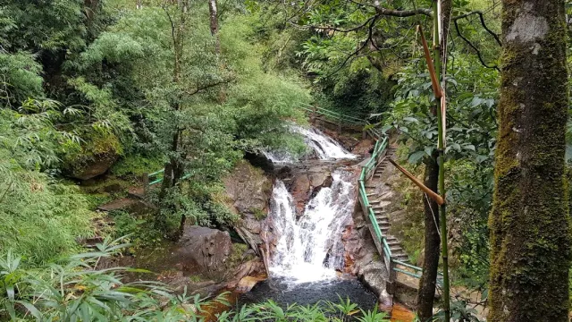 A stream of water dropping over reddish rock beside a green metal staircase in the forest