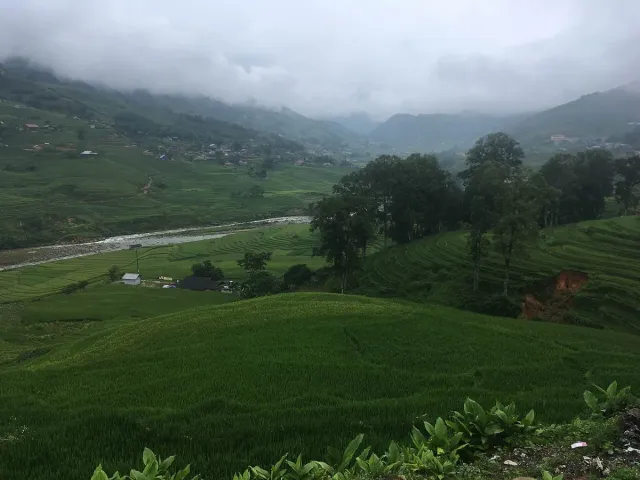 Green rice terraces on the slopes of a valley ringed by misty mountains