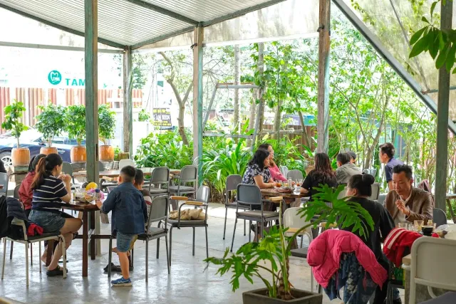 A terrace under a tin roof with potted greenery and families seated around tables