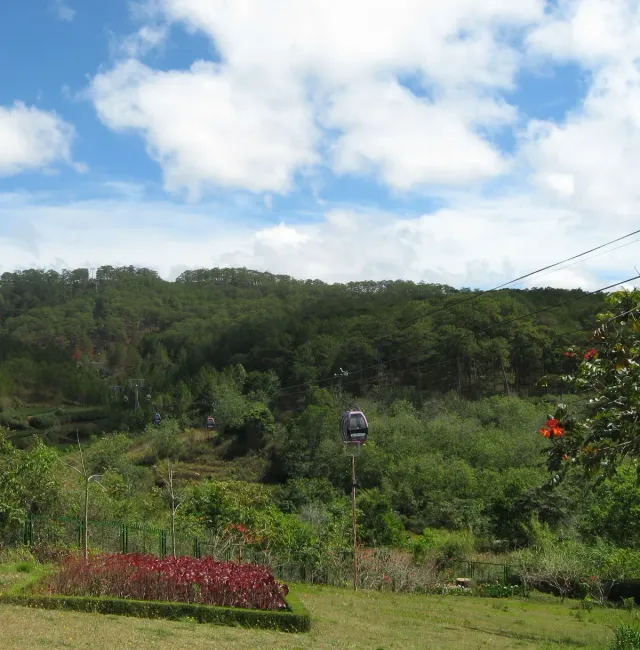 A cable car cabin above forested hills and pine trees