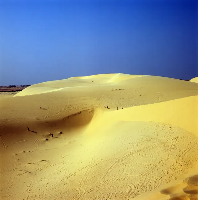 A white sand dune rolling away under a bright sky