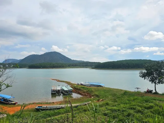 A green bank with wooden boats on the shore and a small floating platform at the end