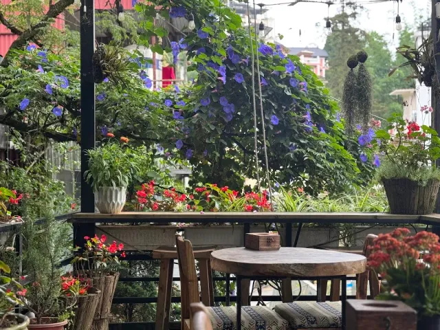 A terrace packed with plants, blue climbing flowers, red blooms and a round wooden table