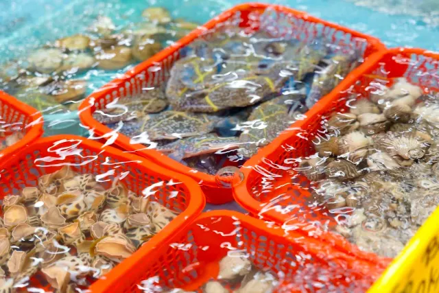 Red plastic baskets in a water tank holding live crabs and shellfish