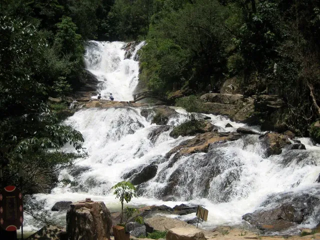 A tiered waterfall running between boulders and pine forest