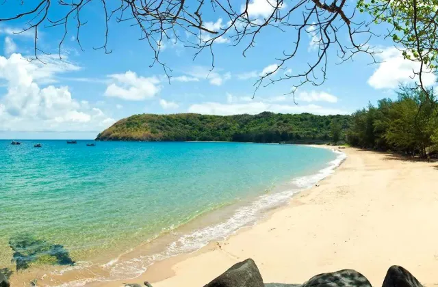 A curving sandy bay with turquoise water, a green headland and tree branches framing the top