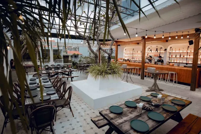 A glass covered courtyard with a tree in a white planter, strings of bulbs and tables set with dark plates