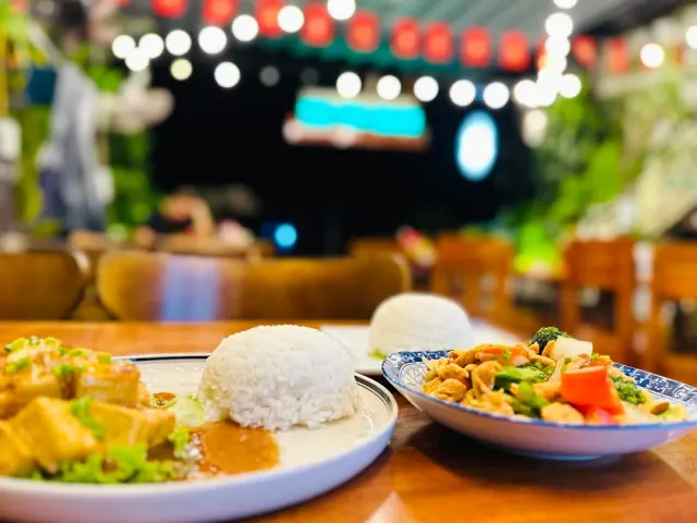 Two plates with rice, tofu in sauce and a vegetable stir fry, a blurred background with lanterns