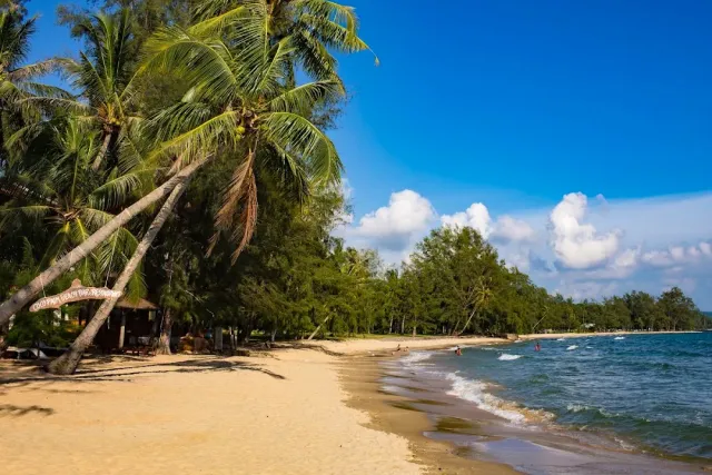 Coconut palms leaning over yellow sand, pines behind and small waves