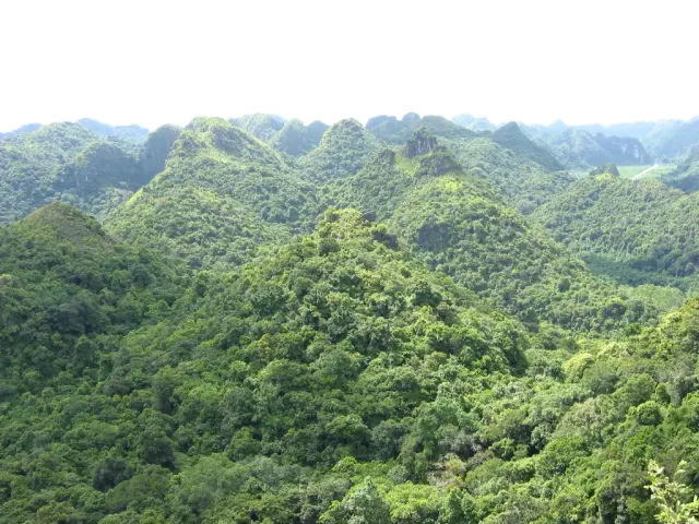 Densely forested tropical hills stretching to the horizon