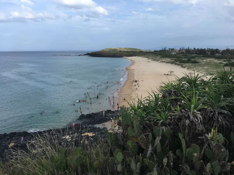 A curving sandy bay with bathers in the shallows, a green headland behind and cacti on the cliff edge in front