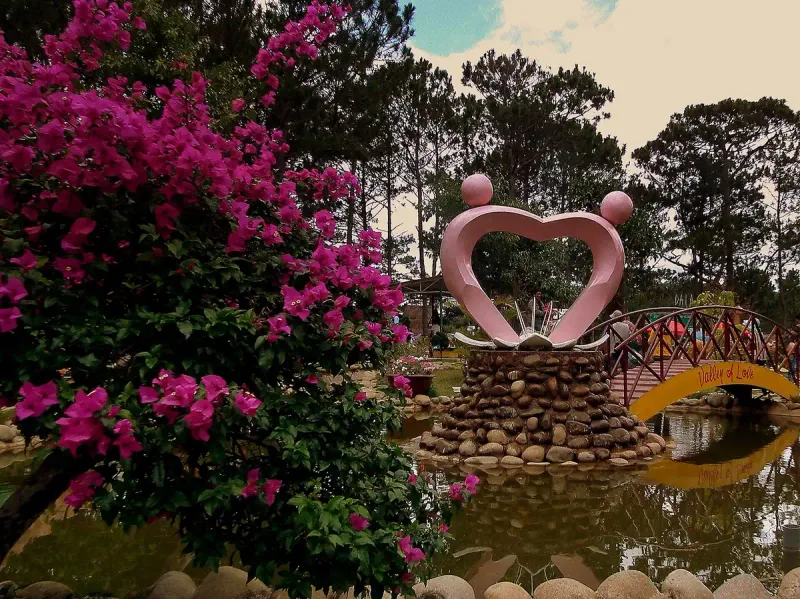 Pink blossom and a heart installation in the Valley of Love, Da Lat