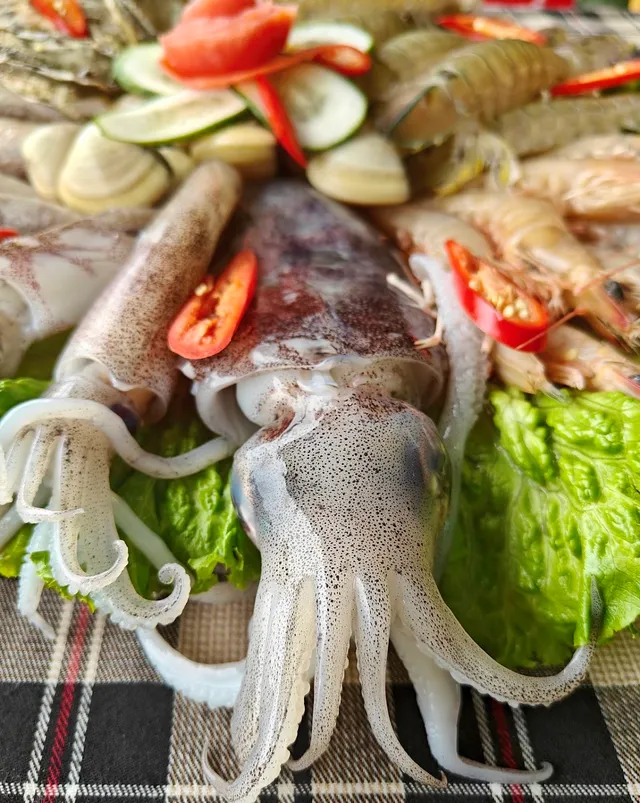 Fresh squid on lettuce leaves, with clams, shrimp and slices of red chili
