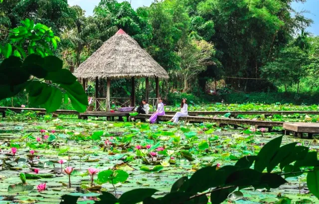 A pink lotus pond with a wooden walkway and a thatched gazebo, women sitting on it
