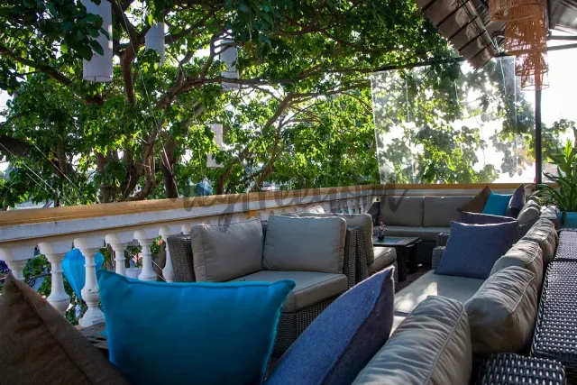 A shaded terrace with rattan sofas and blue cushions under a leafy tree and a white balustrade