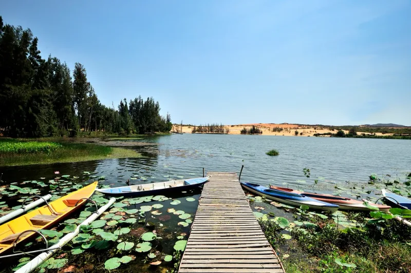 Wooden boats moored on Bau Trang lake among lily pads