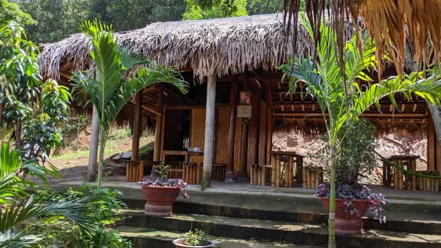 An open wooden building with a thick thatched roof, palms and flower pots on the steps
