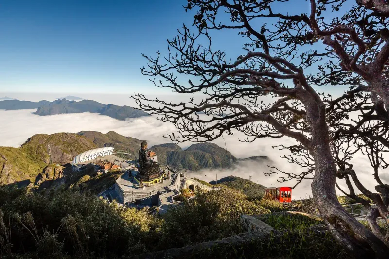 The Fansipan summit complex above a sea of cloud, a bare tree in the foreground