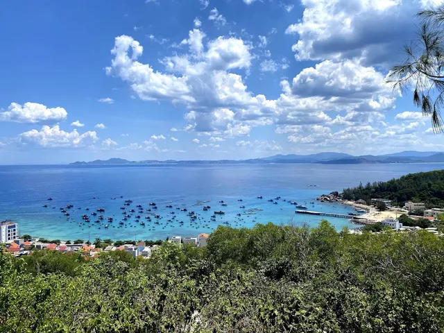 A turquoise bay full of fishing boats, seen from a green hill above a village