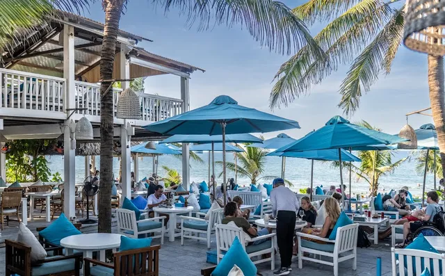 Turquoise parasols and white armchairs among palm trees at the edge of the sea