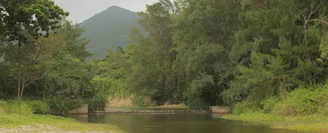 A still lake ringed by forested hills and green vegetation