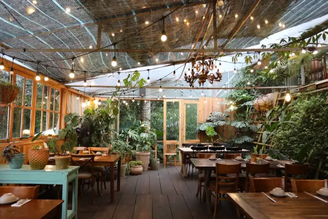 A greenhouse like space with a glass roof, hanging bulbs, many potted plants and wooden tables