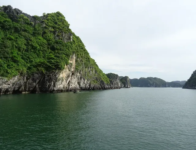 A forested limestone cliff rising from still green water