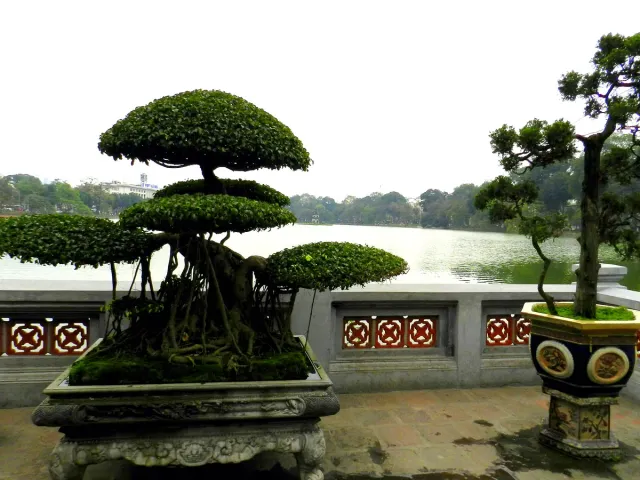 A large bonsai tree on a lake shore beside a decorated balustrade