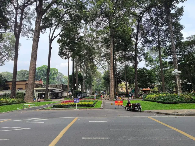 An avenue of tall trees along a road in a city park