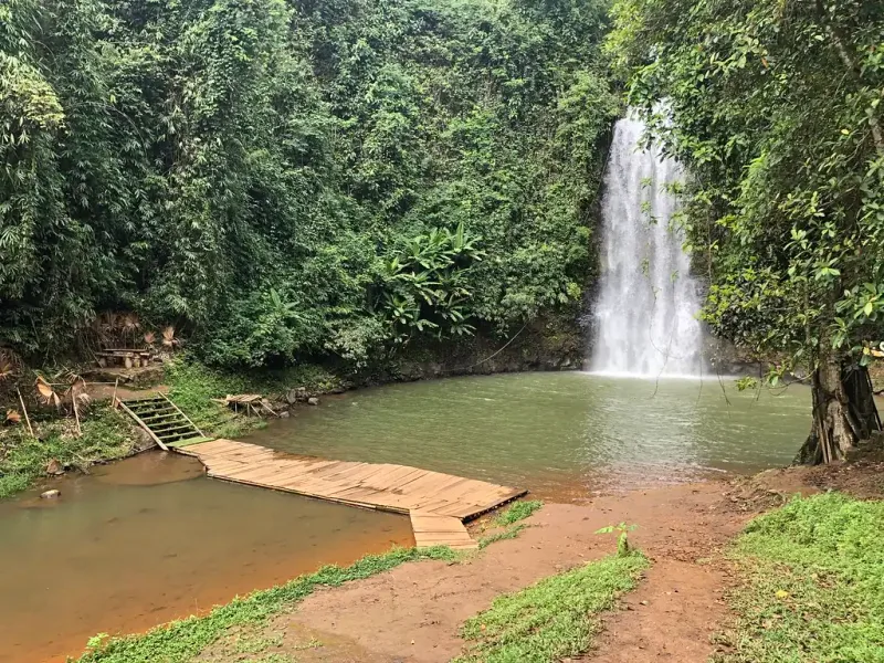 A narrow waterfall dropping into a green pool surrounded by jungle, with a low wooden deck at the water's edge