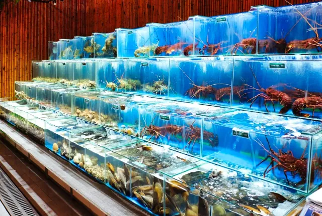 Tiers of blue lit aquariums holding live lobsters, crabs and shellfish