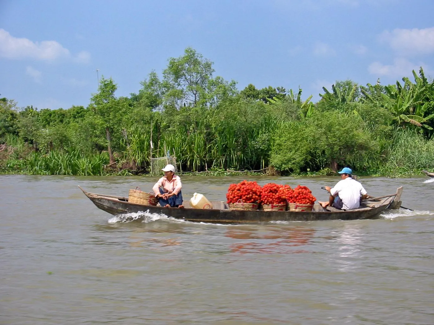 A boat on the waterways of the Mekong Delta