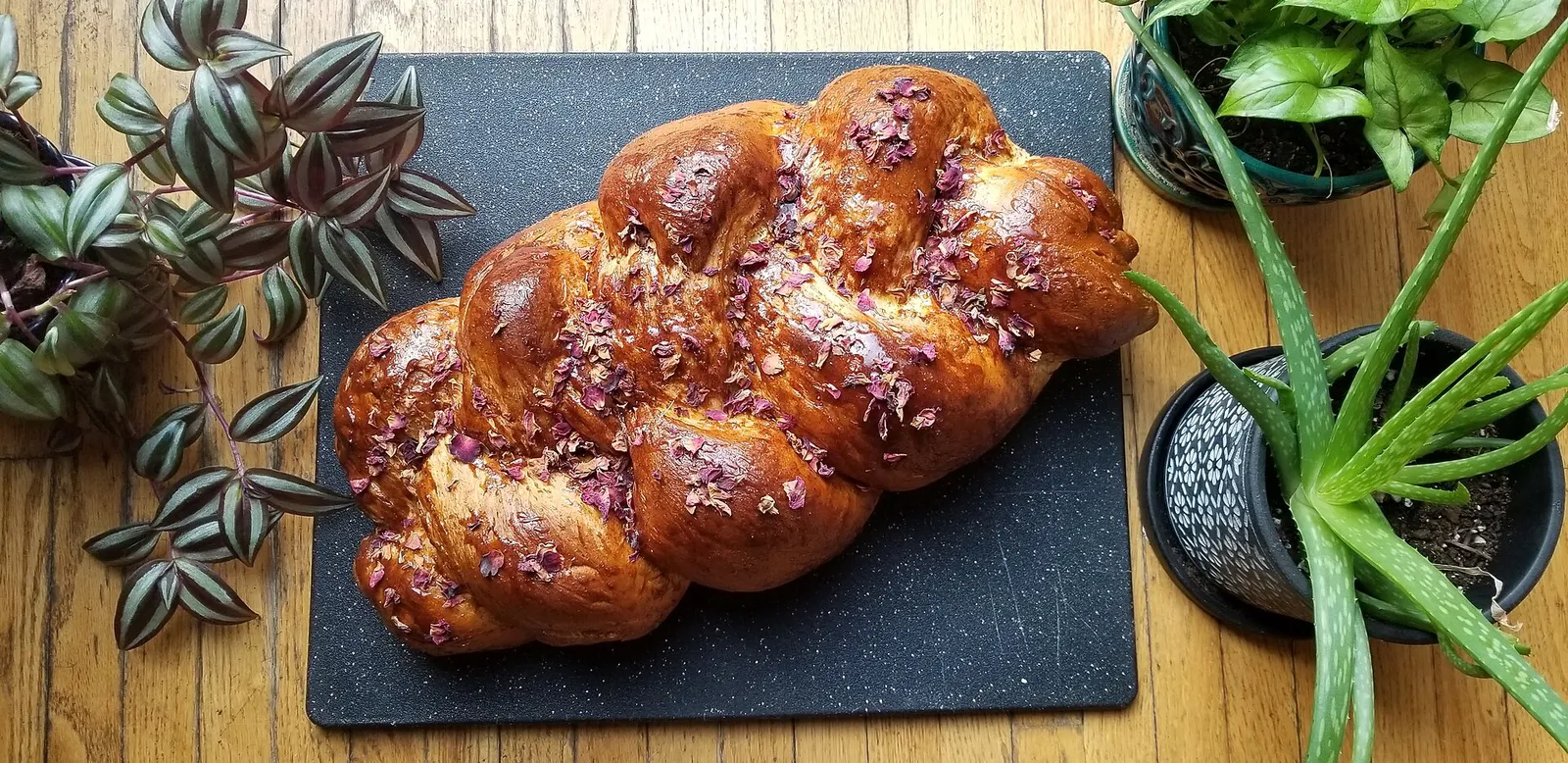 חלה קלועה מסורתית על קרש הגשה, מהמאכלים שמגישים בסעודות שבת בבתי חב"ד למטיילים שומרי מצוות